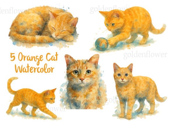 5 Orange Cat Watercolor PNG: Creative Uses