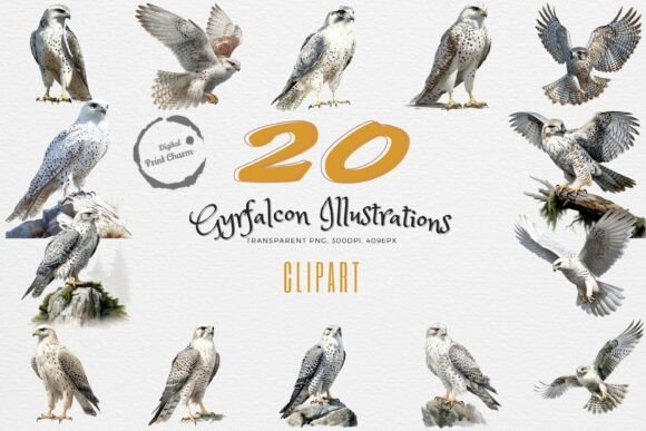 Regal Hunter 20 Gyrfalcon PNG Set: A Practical Guide for Creators
