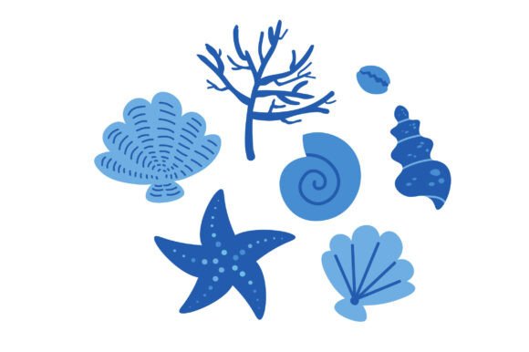 Set with Textured Seashells and Corals: Elevating Your Marine-Themed Designs